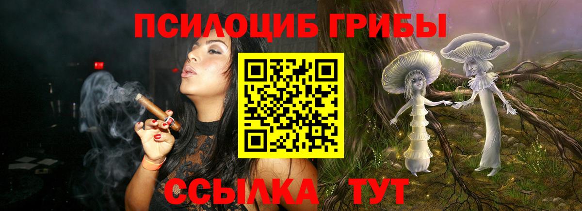 Псилоцибиновые грибы Psilocybine cubensis  Вход с VPN  Псилоцибиновые грибы мицелий  Мичуринск 
